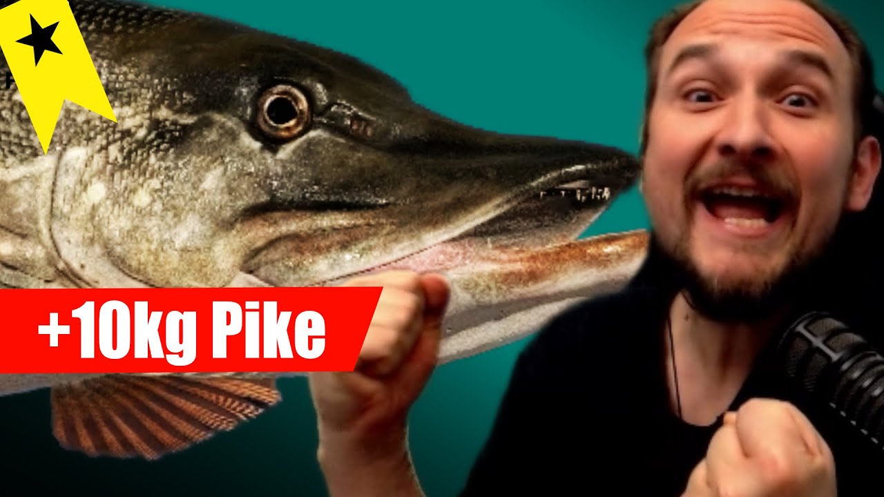 Russian Fishing 4 -  Ladoga Lake - Pike Trophy! 10kg Pike Spot!