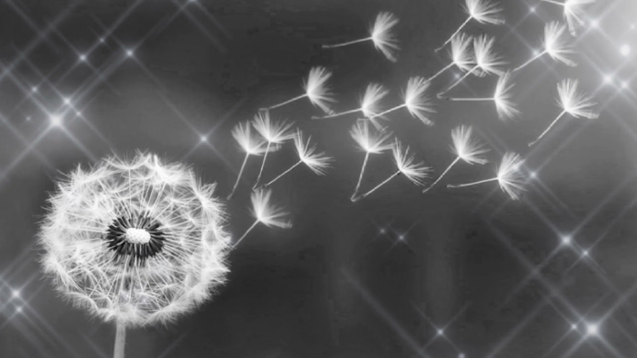 Ruth B - Dandelions [ Underwater effect,Slowed,Reverb,Full Version.]   #ruthb #dandelions