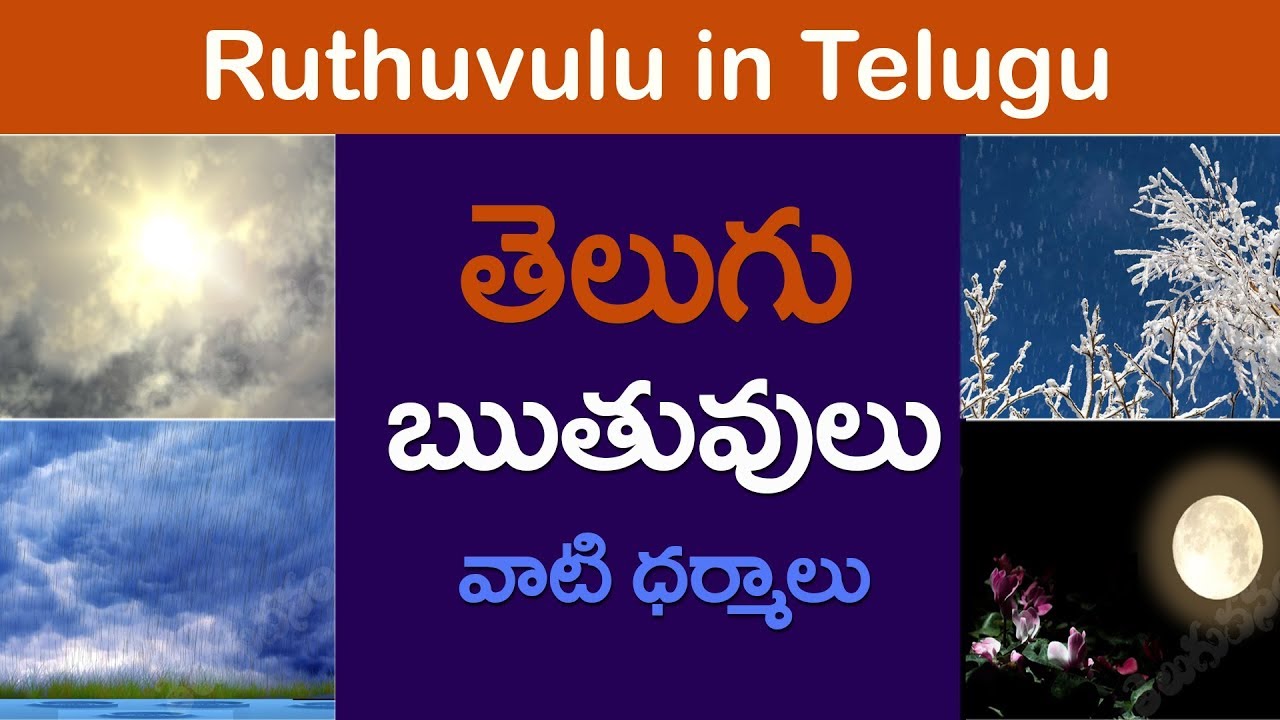 #Ruthuvulu in telugu | Telugu ruthuvulu | ఋతువులు: Seasons Names in Telugu : Learn Telugu for all