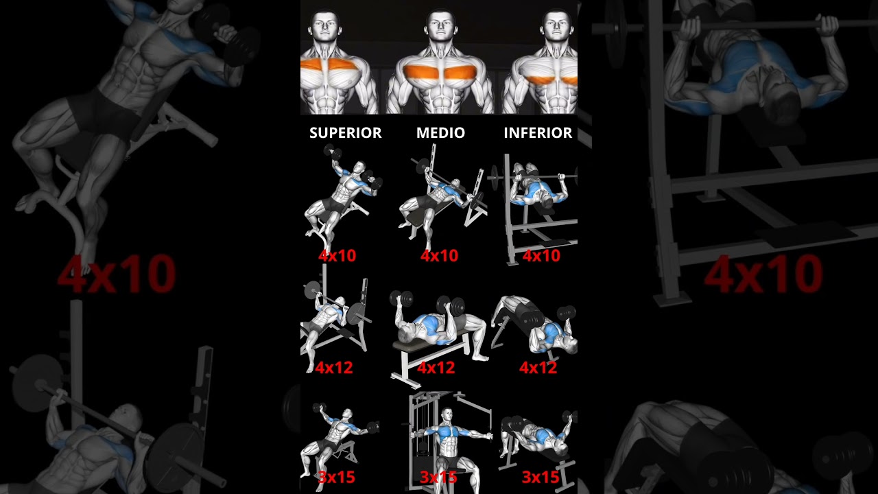 RUTINA DE EJERCICIOS DE PECHO #pecho #chest #workout