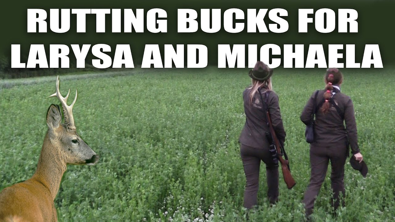 Rutting Bucks for Larysa and Michaela