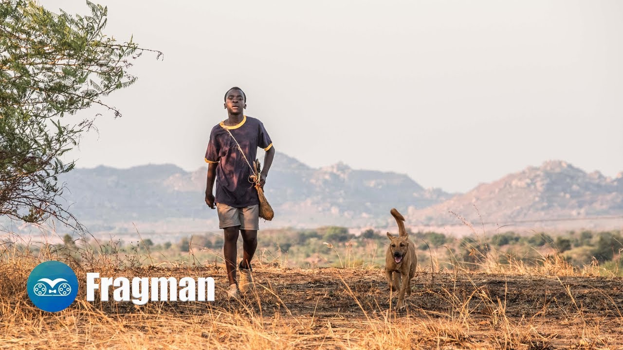 Rüzgârı Dizginleyen Çocuk (2019) - Fragman