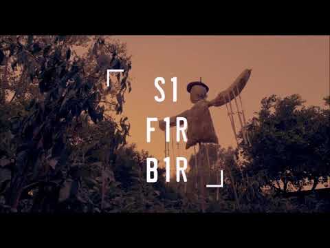 S1 f1r b1r