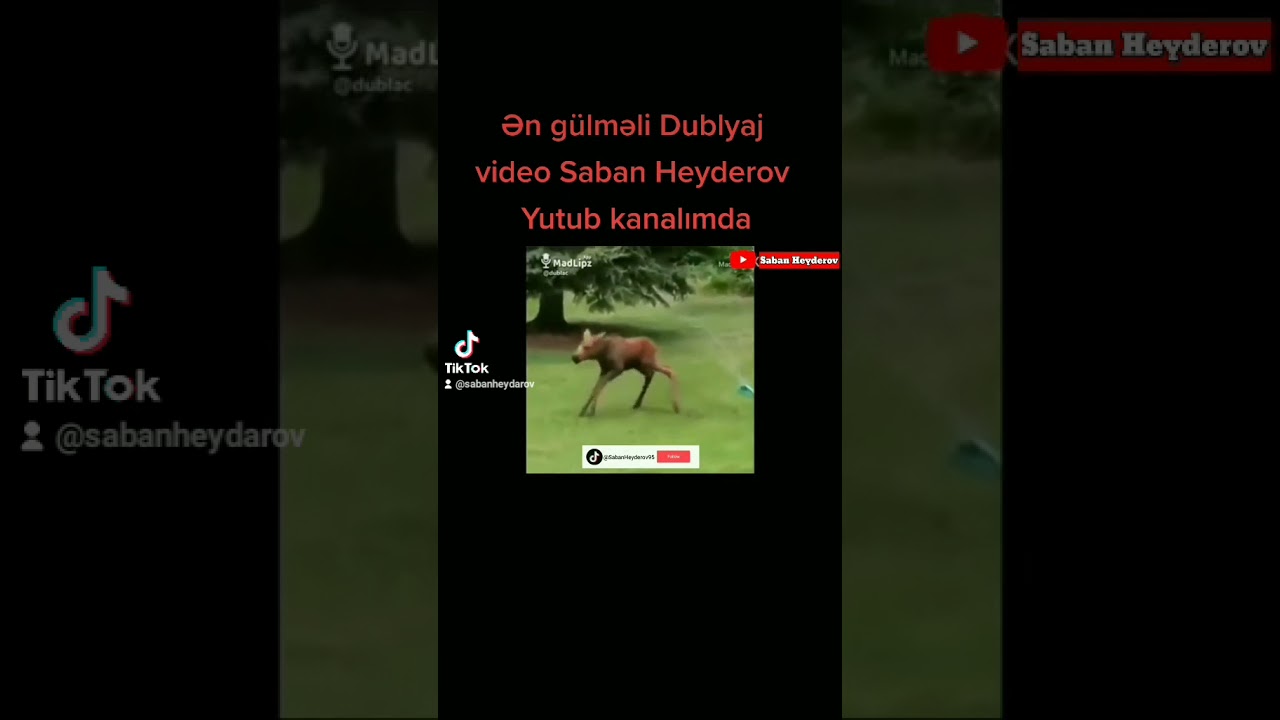 #Sabanheydarov #dublaj #dublajtr #dublajadam #kesfet #kesfetteyim #keşfet #keşfetteyiz #keşfett