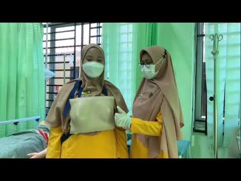 Sadanis dan sadari