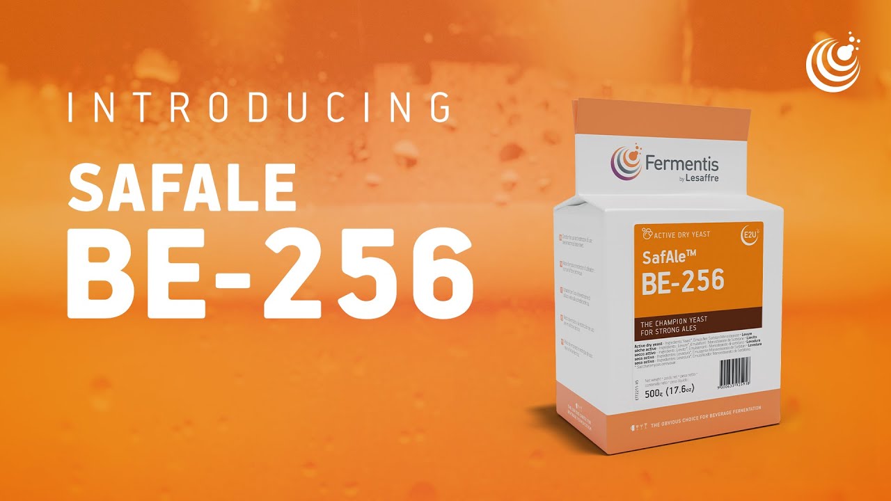 SafAle™ BE-256 - Yeast strain for fruity strong ales - Fermentis