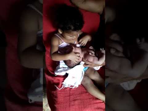 Safira irmã da Pérola quis dar o peito para irmã que lindo