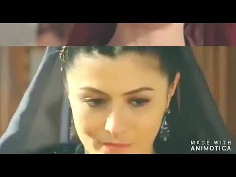 Sah Sultan || Deniz Çakir – Elefante