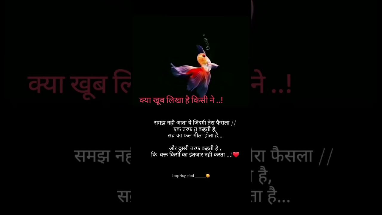 #sahihe#🤗🤗🤗