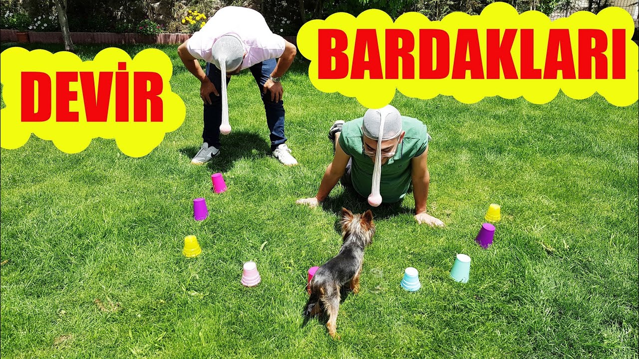 SALLA BAŞINI DEVİR BARDAKLARI /Bİ RAHAT DUR NURETTİN