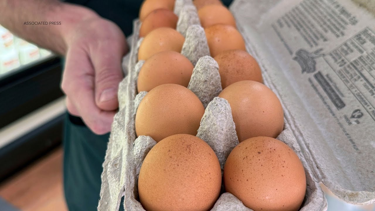 Salmonella outbreak linked to recalled eggs sickens dozens across 7 states: CDC