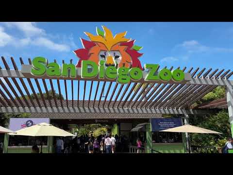 San Diego Zoo from Bus tour to Animal encounter