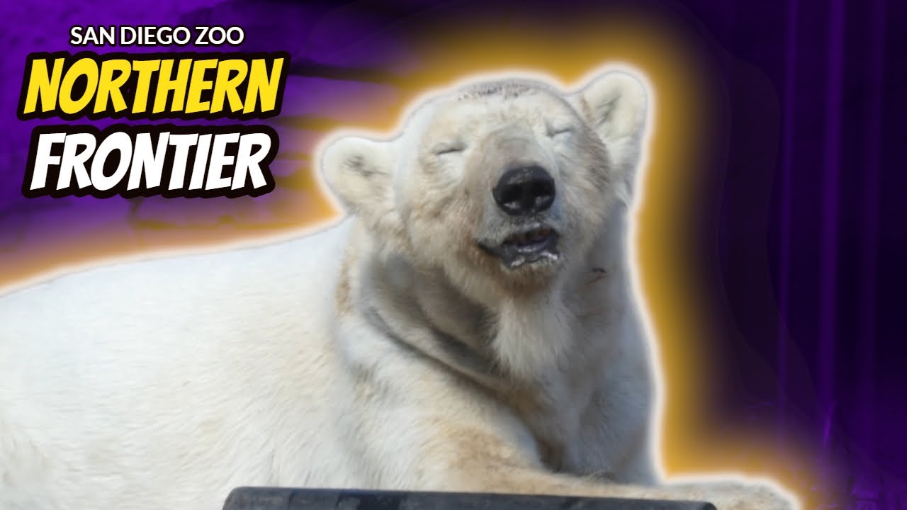 San Diego Zoo Northern Frontier