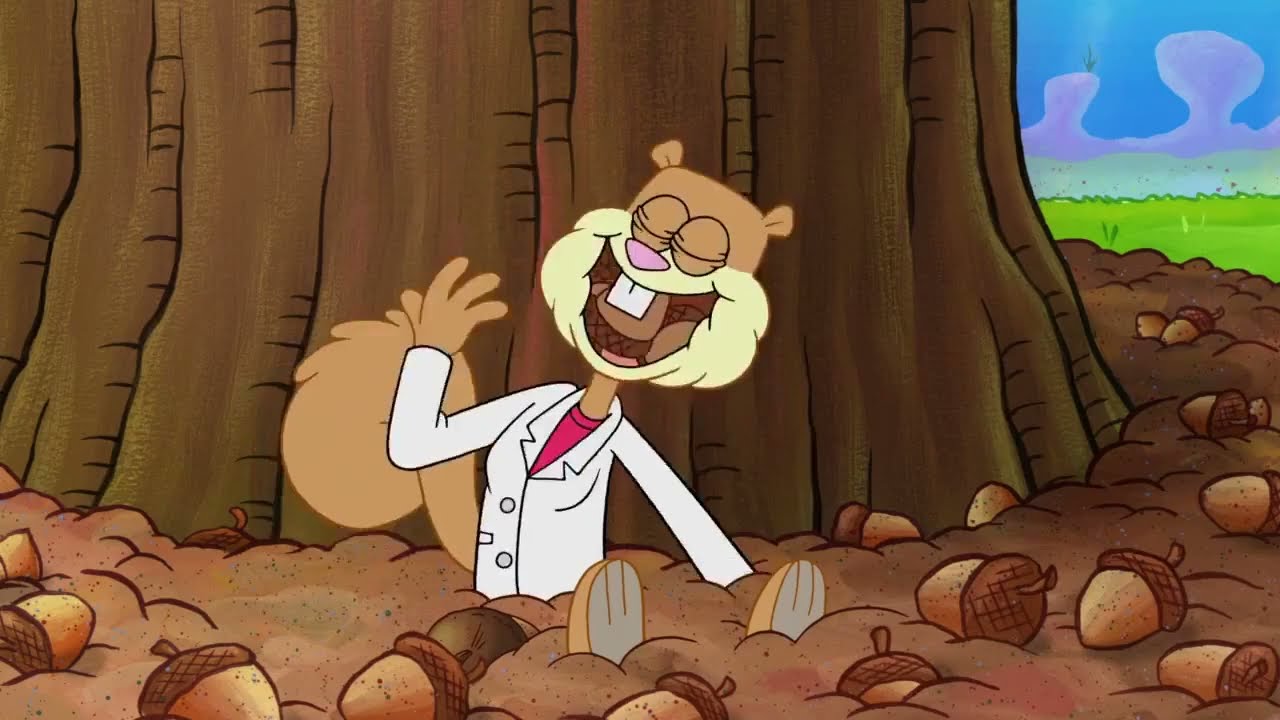 Sandy Cheeks' Cheek Stuffings