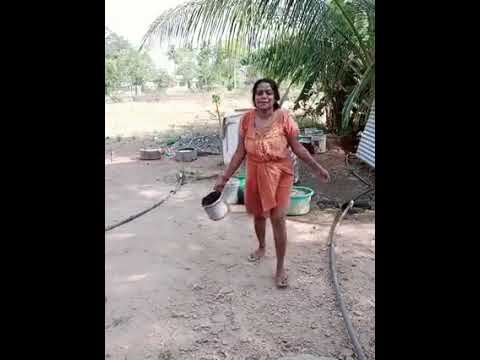 santhalakshmi daily routine cleaning morning vlog desi bhabi aunty vlog#santhalakshmi #shortfeeds