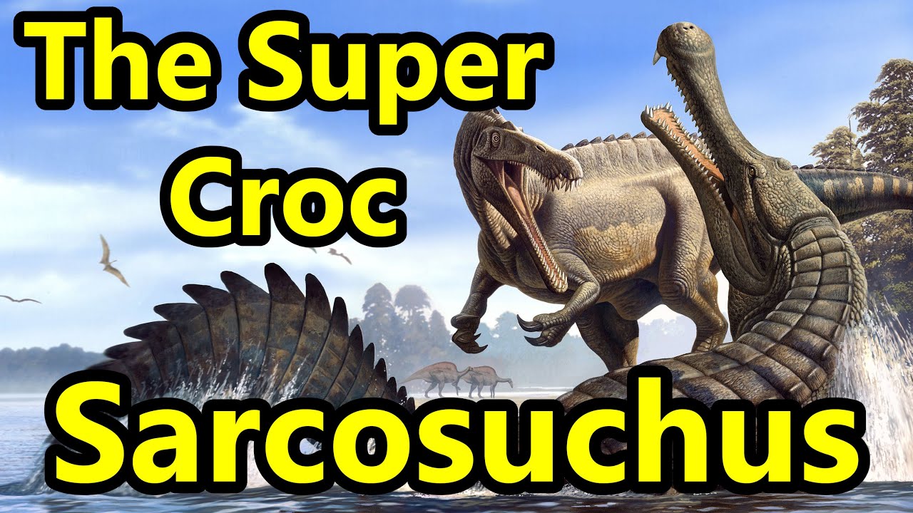 Sarcosuchus: The Prehistoric Super Croc