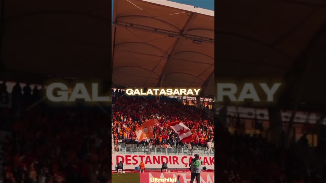 sarışın bit kanarya....