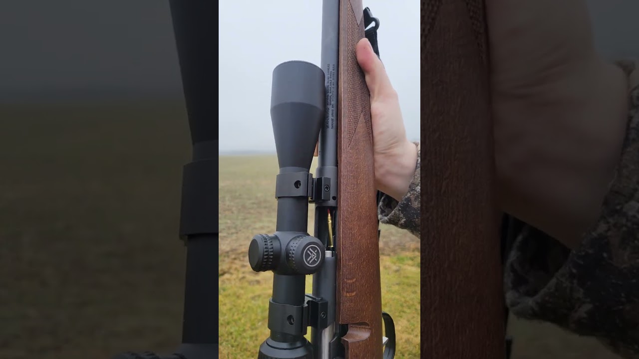 Savage 93R17 Bolt action rifle.