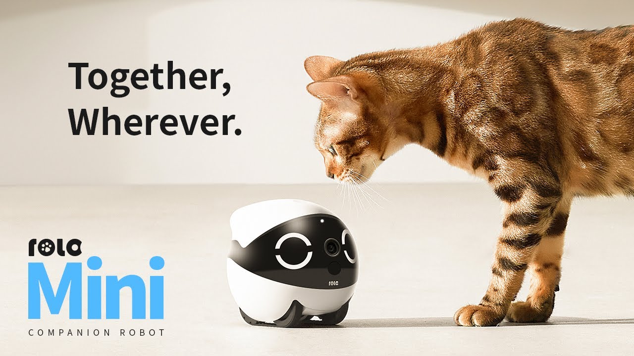 Say hello to Enabot ROLA MINI: your family’s newest companion robot!
