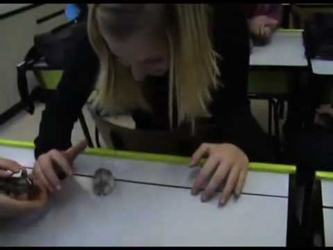 Scared Teacher Stomps hampster