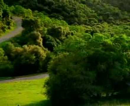 Scary Zombie/Ghost/Demon/Paranormal Jump Out Pop Up Commercial