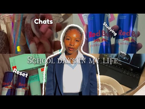 School days in my life. Reset, studying, haul./South African YouTuber.❤️