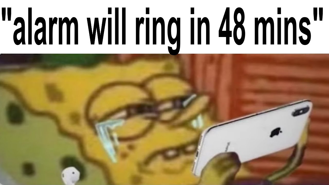 SCHOOL MEMES (asleep at 5am alarm set from 7am edition)
