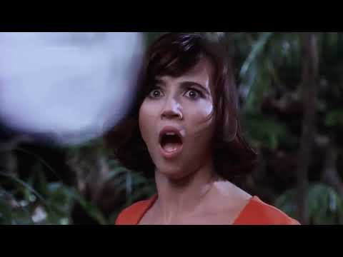 Scooby Doo 2002 Velma possession mirrored