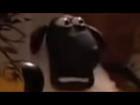 😱SCREAM SHEEP & DOGS😱!!!!!!!!!!!!!!!!!! - (EARRAPE) and (EARRAPE WARNING)