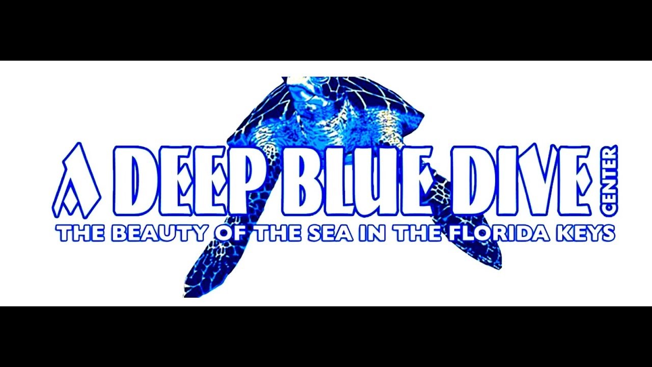 Scuba diving in the Florida Keys after hurricane Irma:  A Deep Blue Dive Center, Marathon