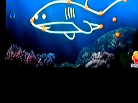 Scuba dots shark