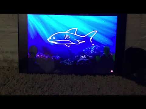 Scuba dots shark