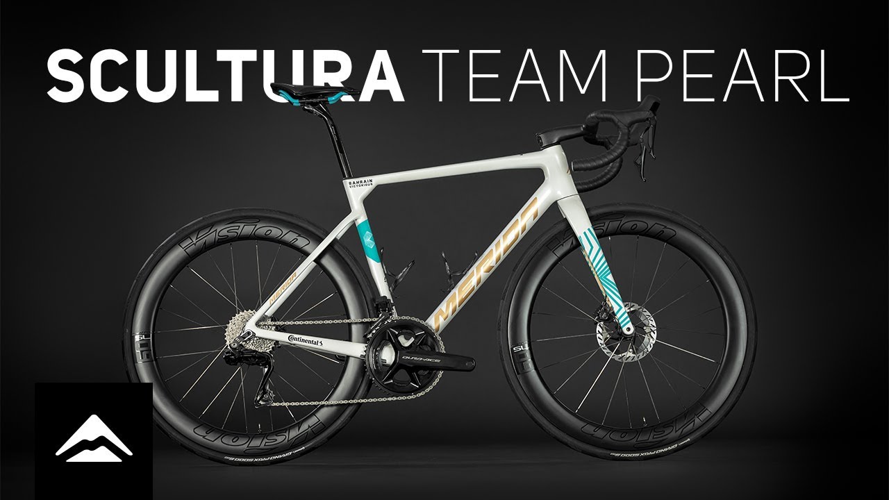 SCULTURA TEAM – PEARL EDITION