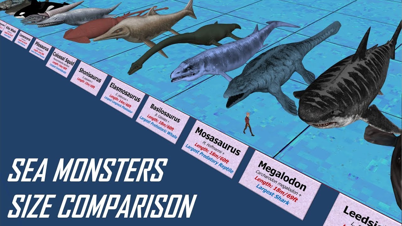 Sea Monsters Size Comparison