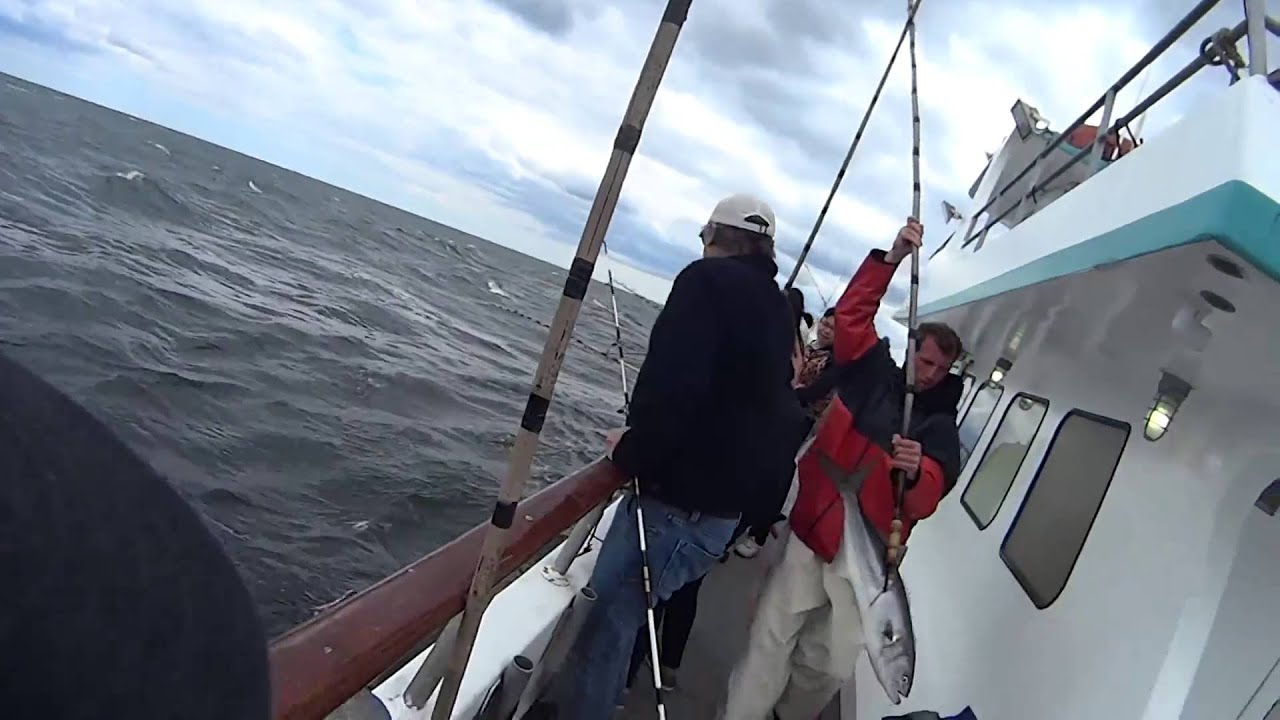 Sea Queen VII BlueFish Fishing Trip. Sheepshead Bay Brooklyn New York