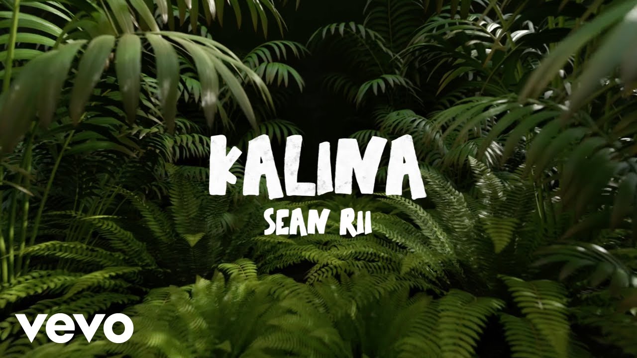 Sean Rii - Kalina (Visualizer)