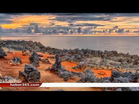 SEBİL TV | DİYAUDDİN - SELAMUN