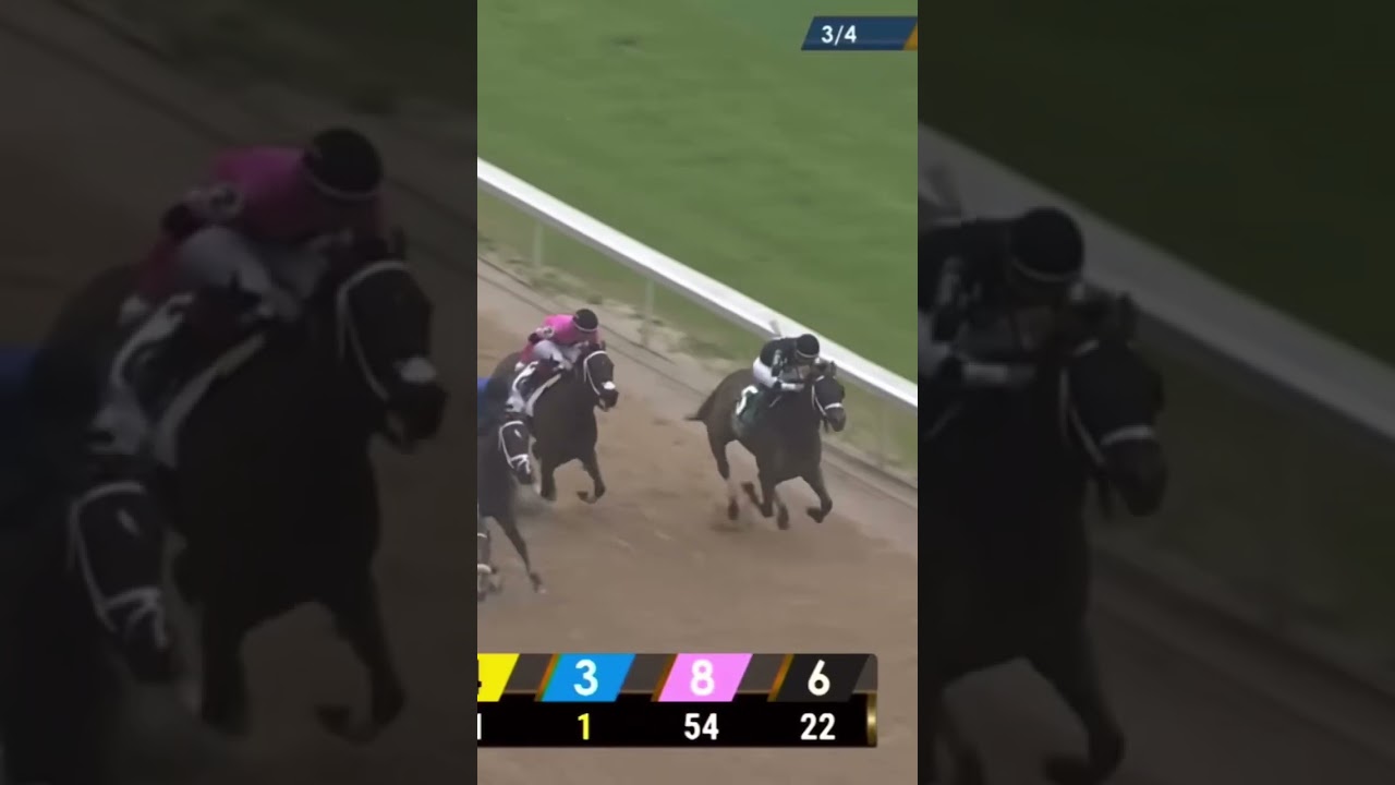 Secret Oath / Tyler Gaffalione - Azeri Stk🏆