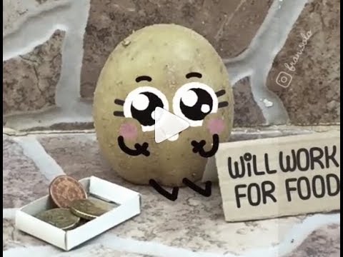Secret World of funny stuff - BEST Compilation by Fran.solo - Full Compilation