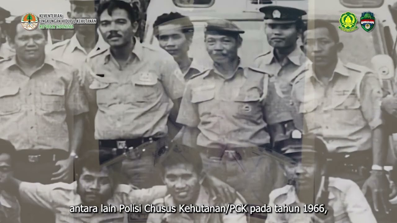Sejarah Polisi Kehutanan di Indonesia