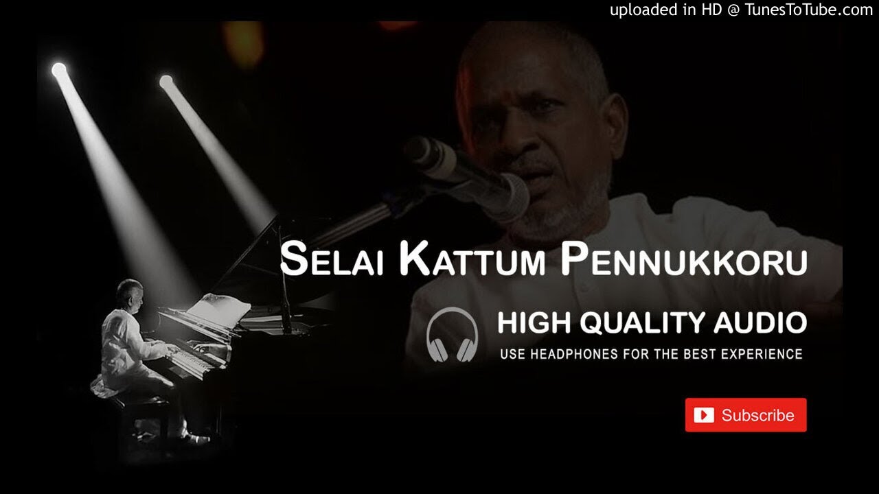 Selai Kattum Pennukkoru High Quality Audio Song | Hamsalekha