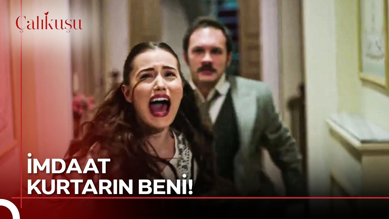 Selim Takıntılısı Feride'yi Kaçırdı 😡 | Çalıkuşu