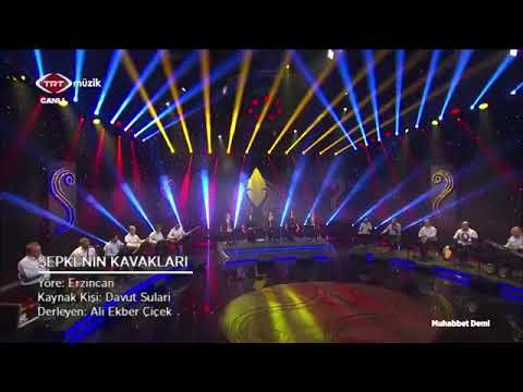 Selma Geçer - Şepkenin Kavakları