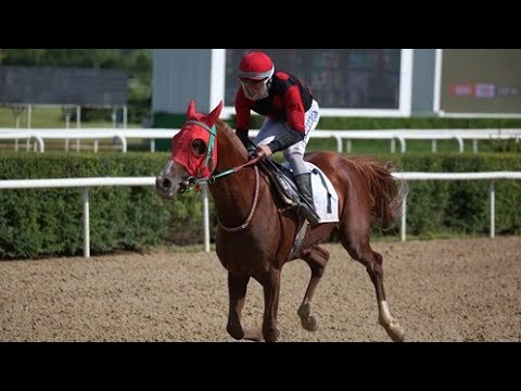 SEMEND - G1 YÜKSEK KOMİSERLER KURULU KOŞUSU