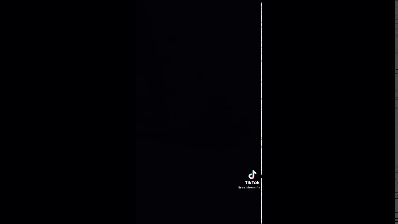 Semiraminta  (yeliz korkmaz) Tik tok videosu