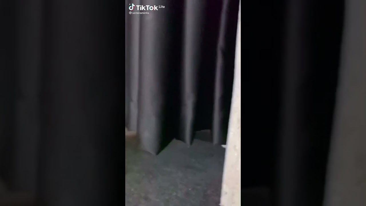 semiranta tiktok videosu