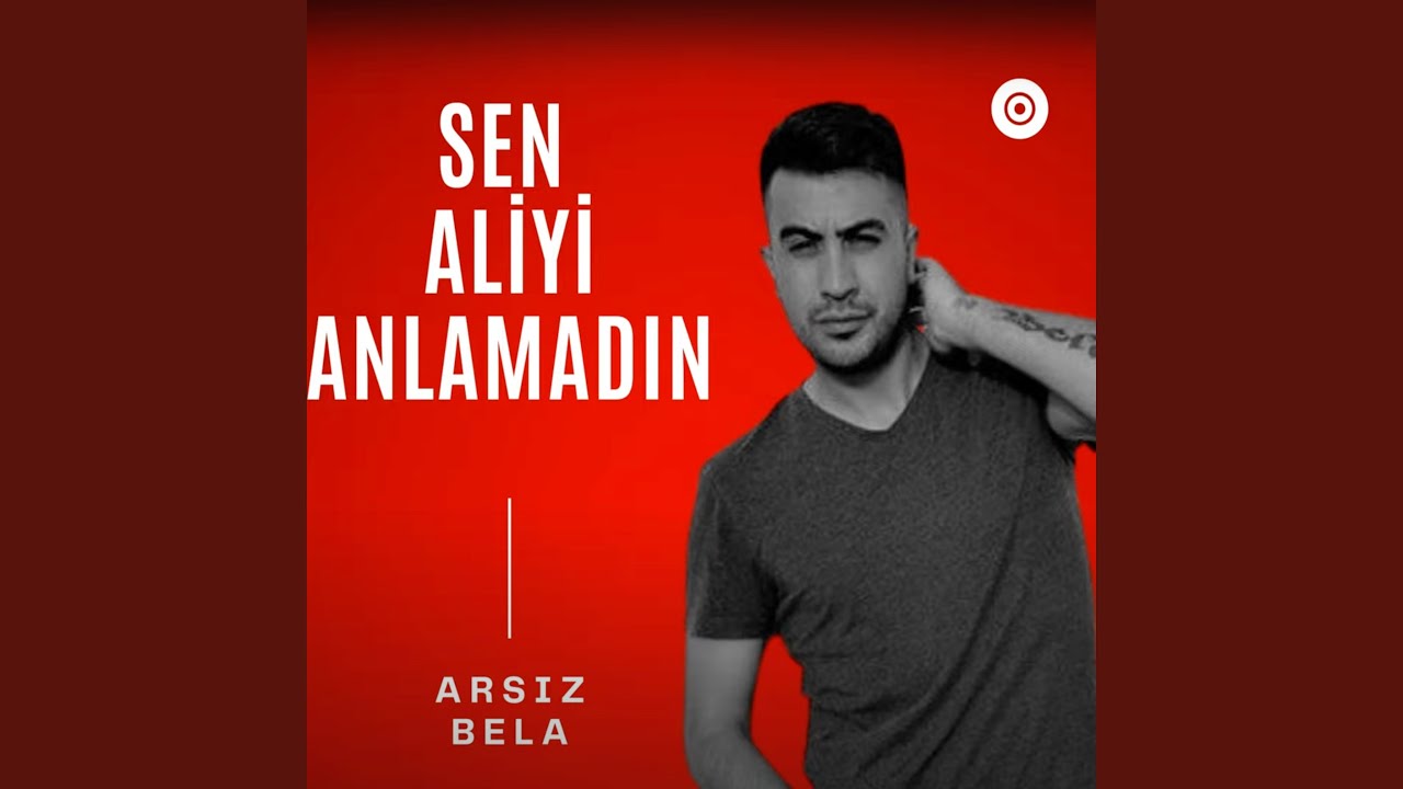 Sen Aliyi Anlamadın