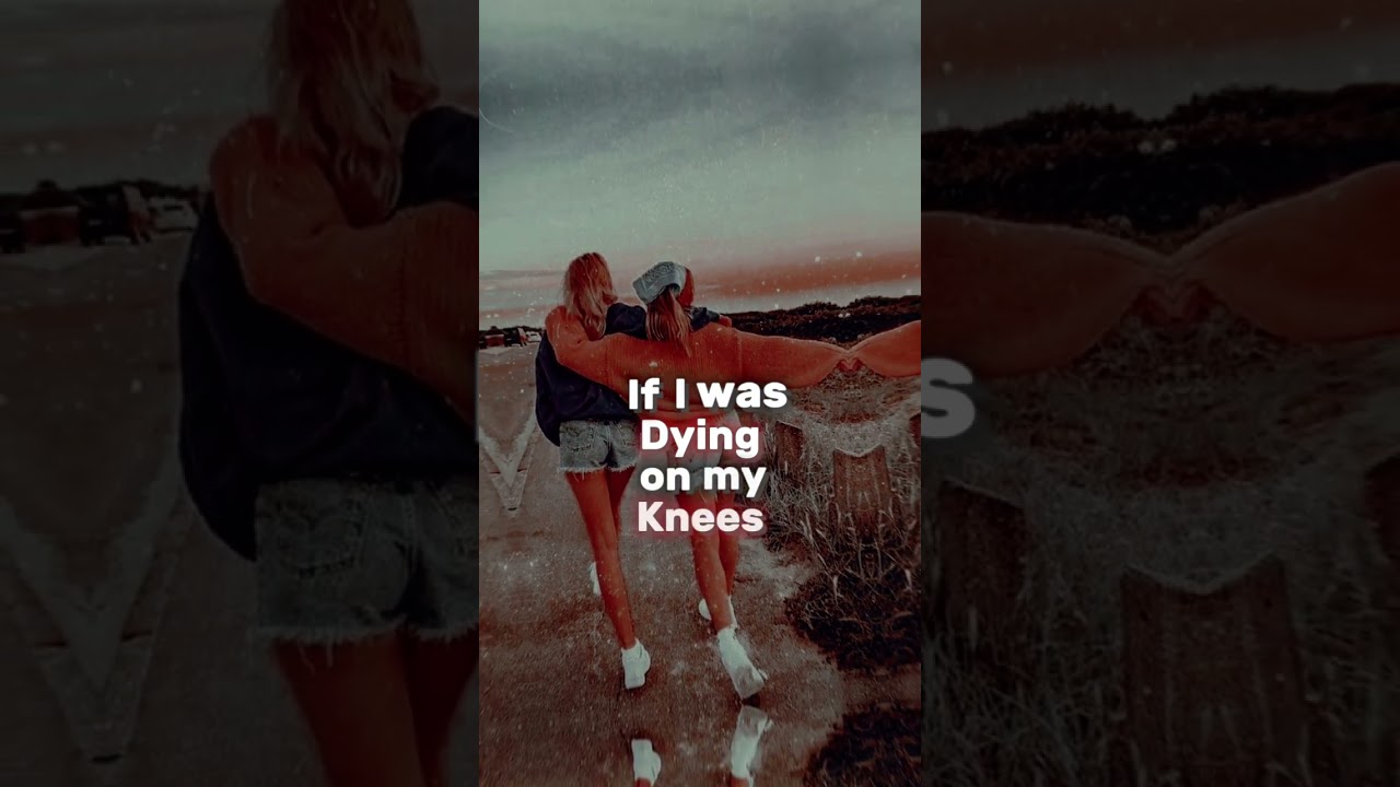 Send this to your bestie(s) #bff #bffgoals #bfflove #edit #fyp #trending #shorts