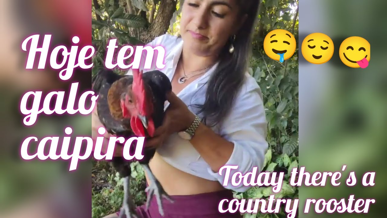 SENSURADO⛔🍂 Hoje tem #GALO #caipira #abate #chicken  #slaughter #sitio #galinhacaipira
