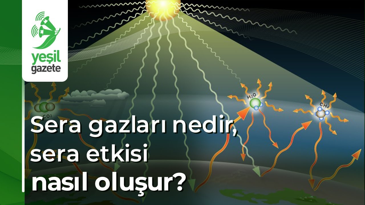 Sera gazları nedir, sera etkisi nasıl oluşur?